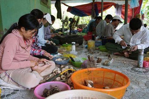 Làng hương trầm vào mùa 'ăn nên làm ra' dịp cận Tết