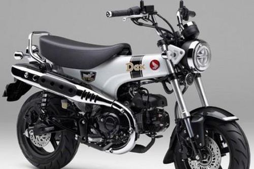 Honda Dax 125 2026: 'Chó lạp xưởng' phiên bản mới cực chất