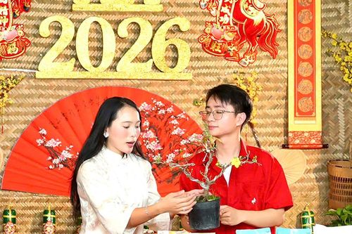 TPHCM: Đưa sắc mai Bình Lợi lên sóng livestream khi Tết cận kề