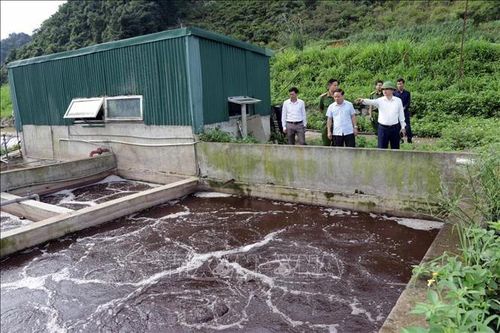Thanh Hóa phê duyệt kế hoạch kiểm tra chuyên ngành về bảo vệ môi trường tại 80 cơ sở năm 2026