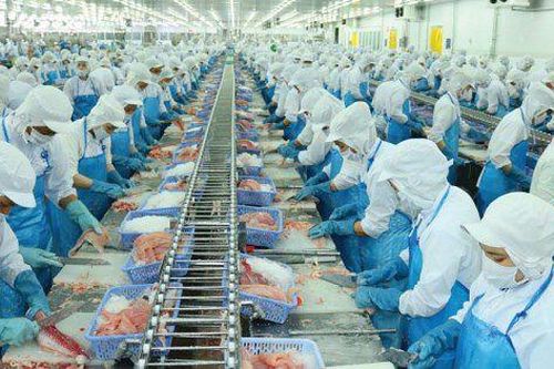 Biên lợi nhuận thu hẹp, Vĩnh Hoàn báo lãi ròng giảm gần một nửa