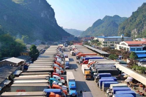 Sửa Luật an toàn thực phẩm: Đừng để doanh nghiệp phải 'uống thuốc hạ sốt' tạm thời