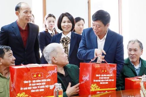 Phó Chủ tịch UBND tỉnh Ngô Tân Phượng tặng quà Tết cho thương, bệnh binh, người cao tuổi