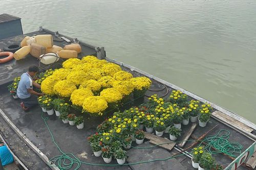 Đưa hàng Tết ra đảo Cù Lao Chàm