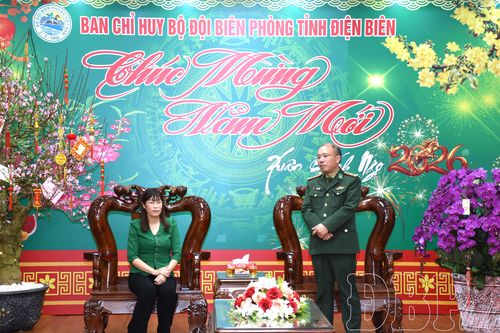 Phó Chủ tịch HĐND tỉnh Cao Thị Tuyết Lan chúc Tết Bộ đội biên phòng và hộ nghèo, gia đình chính sách