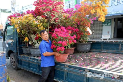 Đồng Tháp: Nhộn nhịp việc làm thời vụ dịp tết