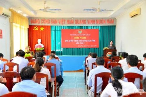 Hội Nông dân tỉnh Đồng Tháp triển khai nhiệm vụ toàn khóa, thống nhất nhiều nghị quyết trọng tâm năm 2026