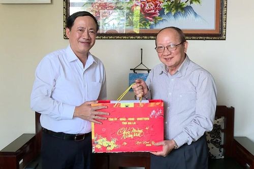 Chủ tịch UBND tỉnh Phạm Anh Tuấn thăm, chúc Tết gia đình chính sách và nguyên lãnh đạo tỉnh