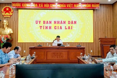 Hội nghị trực tuyến triển khai xây dựng trường phổ thông nội trú liên cấp tại các xã biên giới