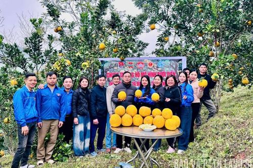 Nông sản đắt khách qua livestream