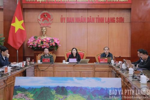 Hội nghị trực tuyến về xây dựng các trường phổ thông nội trú liên cấp tiểu học và trung học cơ sở tại các xã biên giới