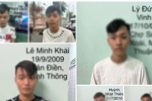 An Giang: Triệt phá nhóm thanh thiếu niên mang hung khí thực hiện 13 vụ trộm cắp