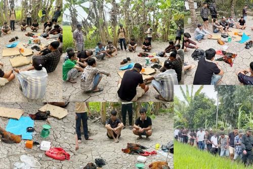 Triệt phá tụ điểm đá gà ăn tiền quy mô lớn tại phường Thốt Nốt, TP Cần Thơ