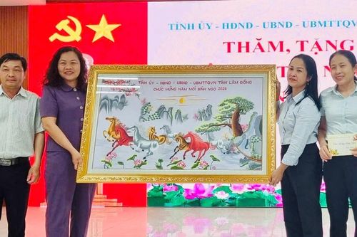 Phó Chủ tịch HĐND tỉnh Lâm Đồng Nguyễn Thị Thuận Bích thăm, tặng quà Tết tại xã Hàm Tân