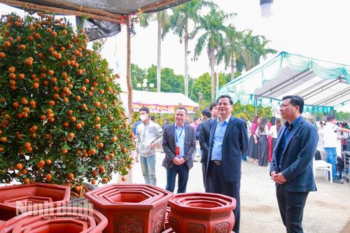 Khai mạc Chợ hoa Xuân Hoa Lư năm Bính Ngọ 2026