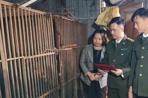 Kiểm lâm Yên Lập tích cực tuyên truyền chuyển giao gấu nuôi