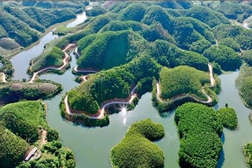 Những hồ chứa khổng lồ và cuộc 'thức dậy' vật vã