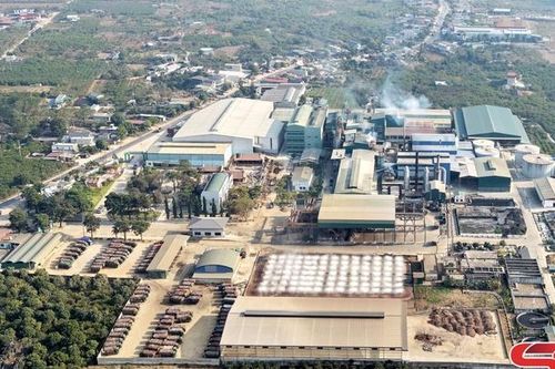 Phát triển kinh tế gắn với bảo vệ môi trường