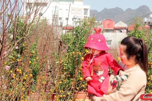 Hoa đào nở muộn