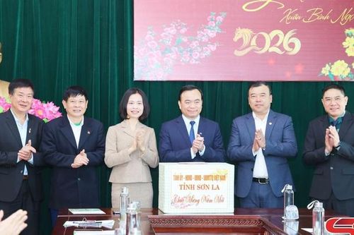 Đồng chí Phó Chủ tịch Thường trực UBND tỉnh làm việc với Trung tâm Văn hóa, Thể thao