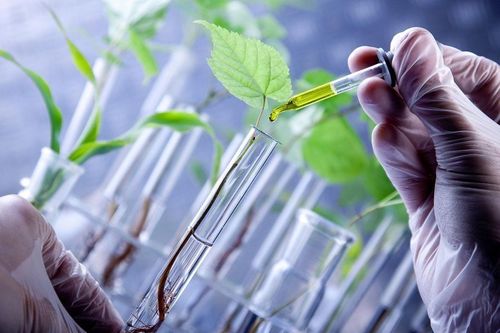 Năm 2028, ban hành bộ chỉ tiêu thống kê công nghệ sinh học phục vụ phát triển kinh tế - xã hội