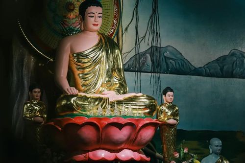 Dòng tộc và trói buộc