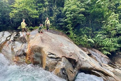Bảo vệ động vật quý hiếm ở Vườn Di sản ASEAN
