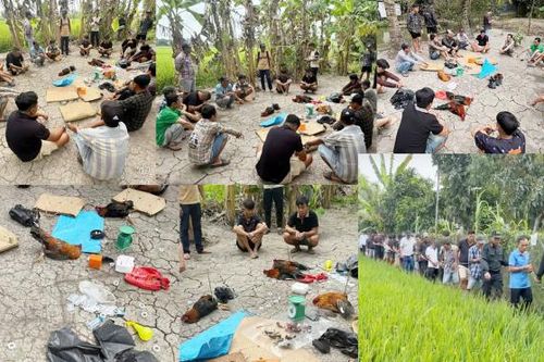 Bắt quả tang 18 con bạc 'khát nước' đang sát phạt trên trường gà