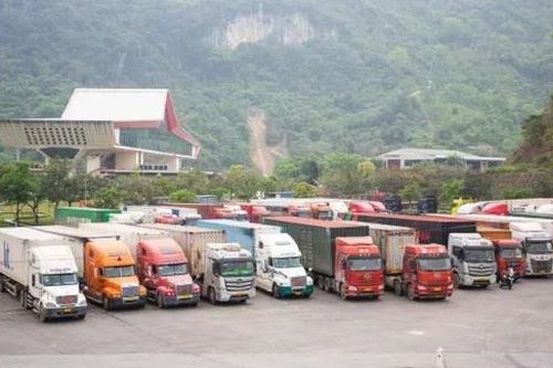 Đẩy nhanh thông quan thực phẩm sau tạm dừng Nghị định 46