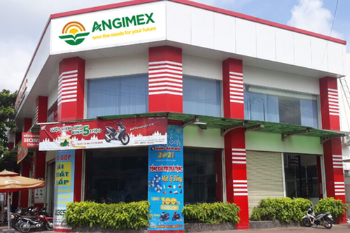 Xuất nhập khẩu An Giang (AGM): Lỗ lũy kế năm 2025 vượt 540 tỷ đồng, bán 15% vốn công ty con