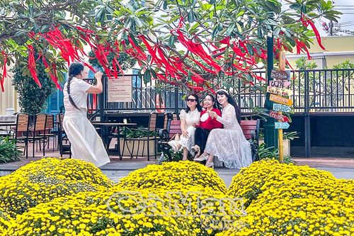 Sẵn sàng đón khách du xuân
