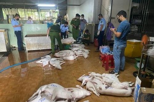 Ngăn chặn thịt heo 'bẩn' tuồn ra thị trường dịp Tết