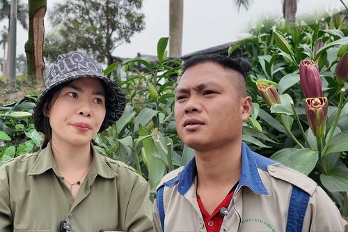 Kẻ gian chém nát vườn hoa ly Tết: Nạn nhân thất thần, 'mất hết rồi'