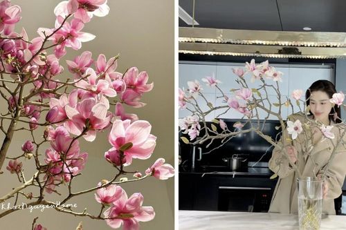 Loài hoa được Hoa hậu Đỗ Thị Hà cắm trong dịp Tết Bính Ngọ có gì đặc biệt mà lại gây sốt?