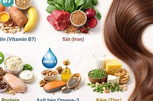 5 dưỡng chất thiết yếu giúp tóc mọc nhanh, chắc khỏe từ gốc đến ngọn