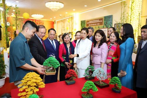 'Hội xuân Bính Ngọ 2026' tưng bừng khai mạc