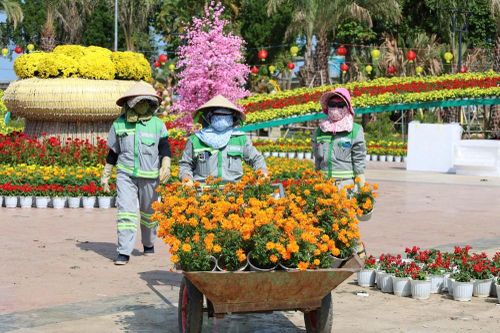 Quảng Ngãi rực rỡ sắc Xuân, sẵn sàng đón Tết