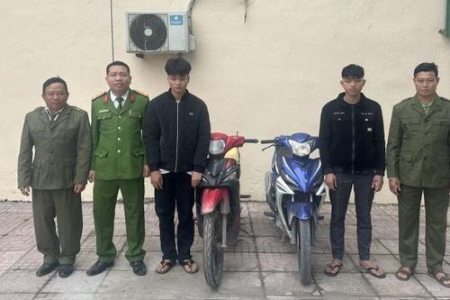 Phá nhiều vụ trộm cắp tài sản dịp cận Tết