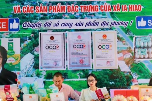 Gia Lai: Thành lập phòng livestream phục vụ cộng đồng