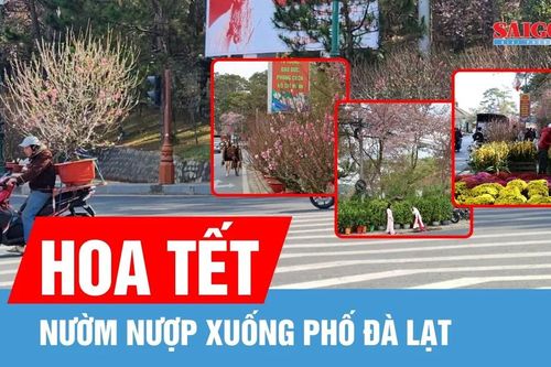 Hoa tết nườm nượp xuống phố Đà Lạt