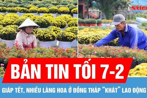 Bản tin tối 7-2: Nhiều làng hoa 'khát' lao động; Quy định mới về xử phạt vi phạm hành chính