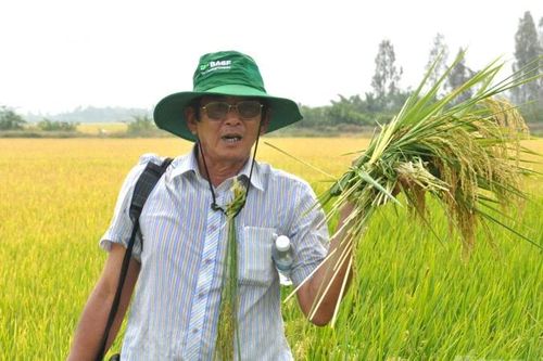 Hành trình đưa gạo Việt lên ngôi ngon nhất thế giới của AHLĐ Hồ Quang Cua
