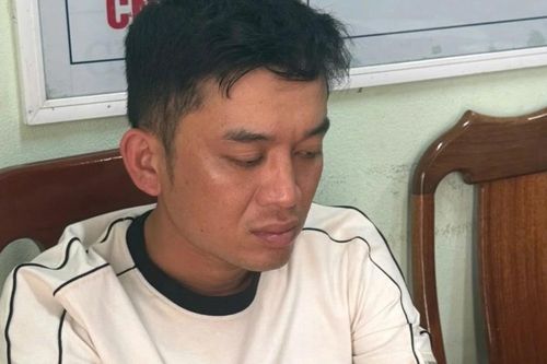 Đối tượng trộm 6 con lợn giữa đêm khuya ở Quảng Trị ra đầu thú