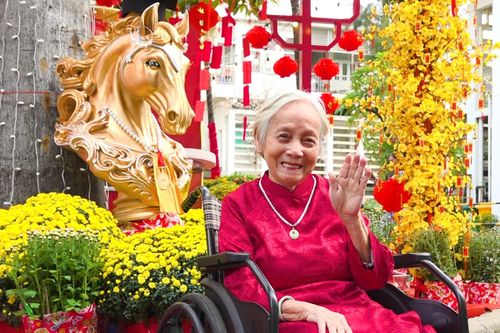 Hàng trăm bệnh nhân hào hứng mặc áo dài, chụp ảnh xuân tại đường hoa đặc biệt