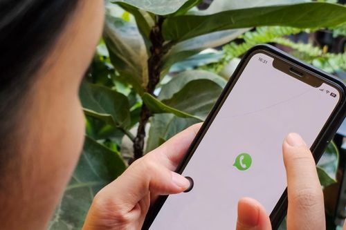 Bài mẫu viết thư UPU lần thứ 55: Cảm ơn 'cây cầu' nối tôi với người bạn đặc biệt