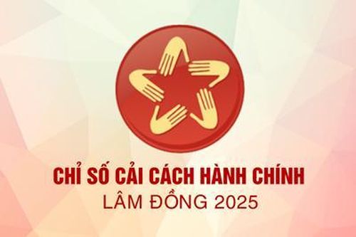 Sở Ngoại vụ đứng cuối bảng xếp hạng chỉ số cải cách hành chính tỉnh Lâm Đồng