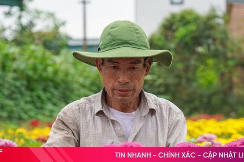'Hái tiền' trên những mô hình nông nghiệp vùng rốn lũ