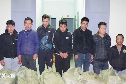 Biên phòng Lạng Sơn phát hiện hơn 1 tấn xúc xích nhập lậu tại khu vực biên giới