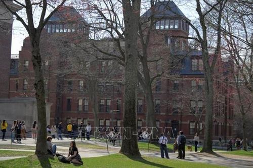 Mỹ: Lầu Năm Góc chấm dứt toàn bộ chương trình đào tạo với Đại học Harvard