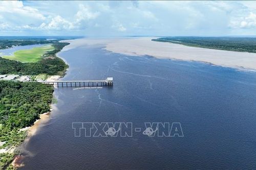 Brazil tạm dừng nạo vét sông Amazon